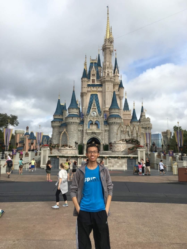 太阳花的第一张照片--澳门认干亲服务网