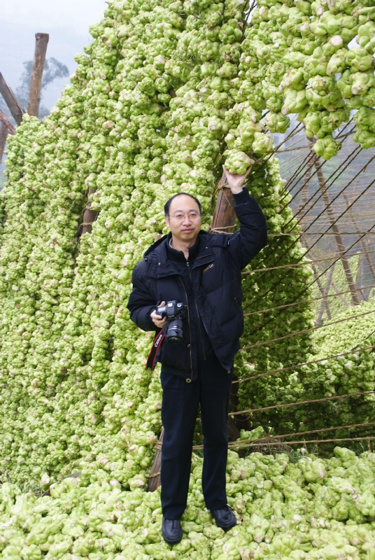 蓝色的海的第一张照片--澳门认干亲服务网